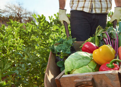 Nominations Sought for 2015 Moses Organic Farmer of the Year Award Image